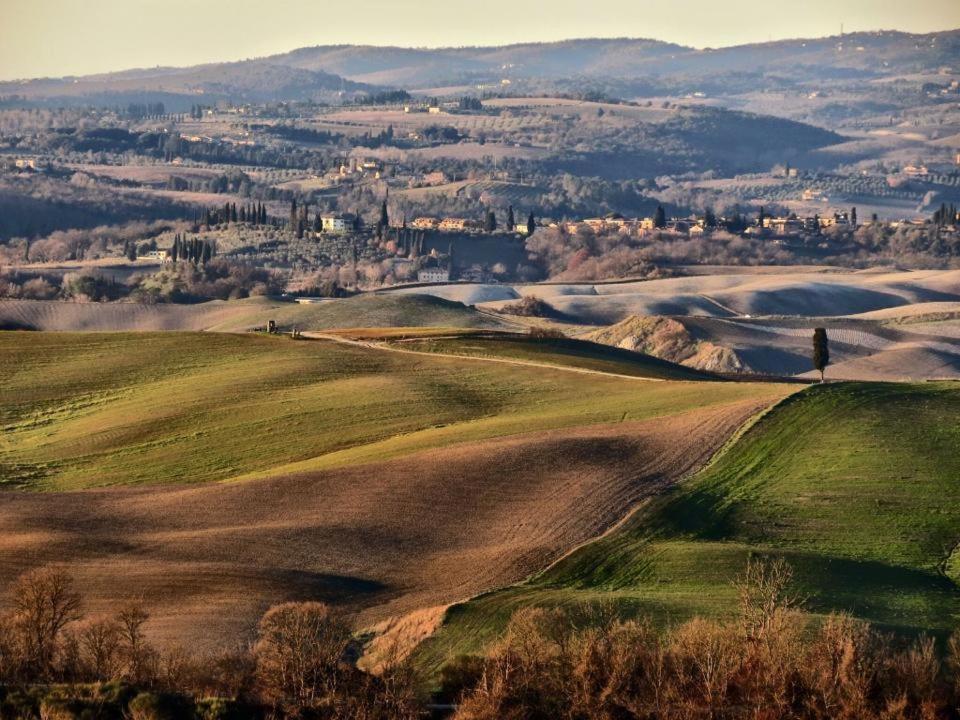Podere Il Granaio - Crete Senesi - Tuscany Siena Exterior foto
