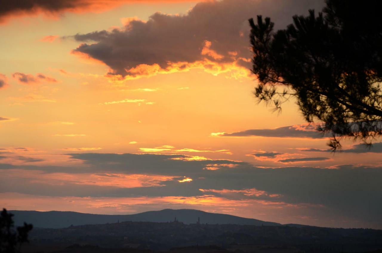 Podere Il Granaio - Crete Senesi - Tuscany Siena Exterior foto